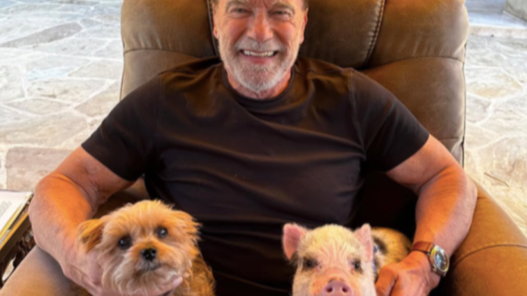 Le chien d’Arnold Schwarzenegger : Race, âge, et plus encore