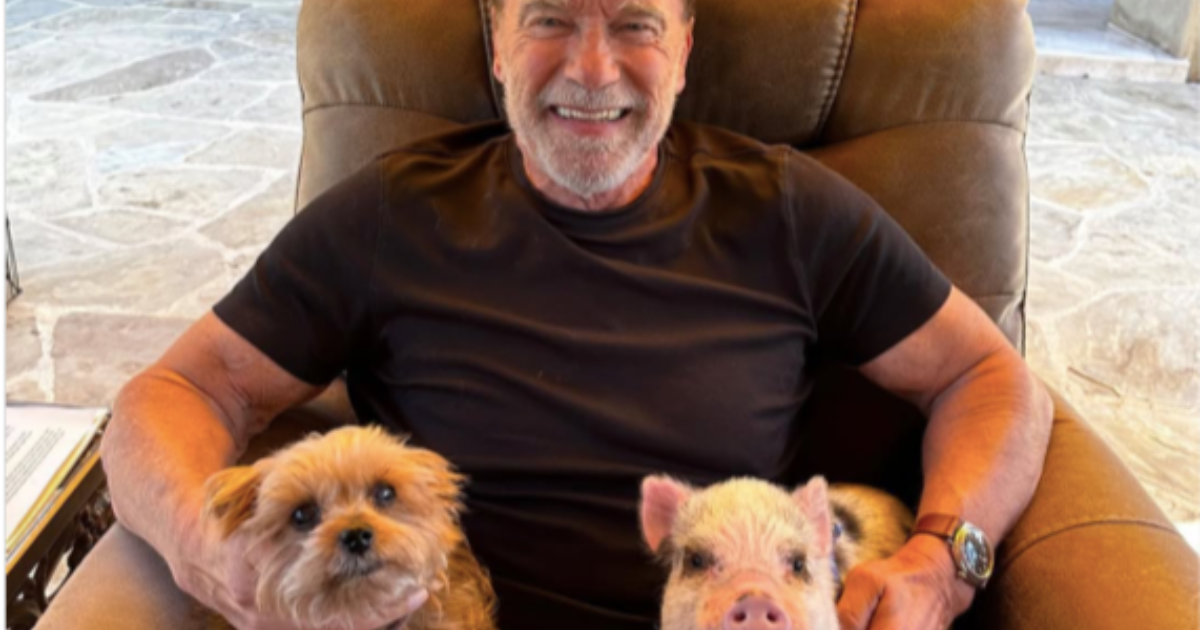 Le chien d’Arnold Schwarzenegger : Race, âge, et plus encore