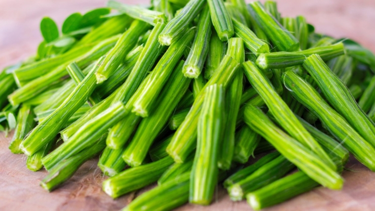 Les chiens peuvent-ils manger des gousses de moringa ? Les gousses de moringa sont-elles sans danger pour les chiens ?