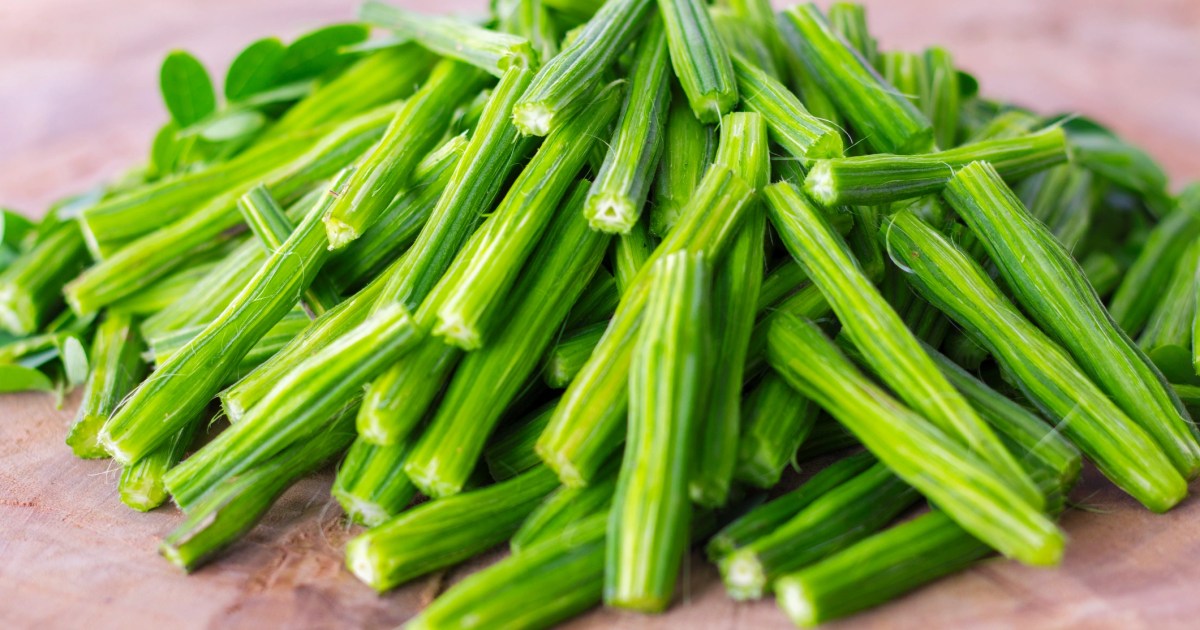 Les chiens peuvent-ils manger des gousses de moringa ? Les gousses de moringa sont-elles sans danger pour les chiens ?