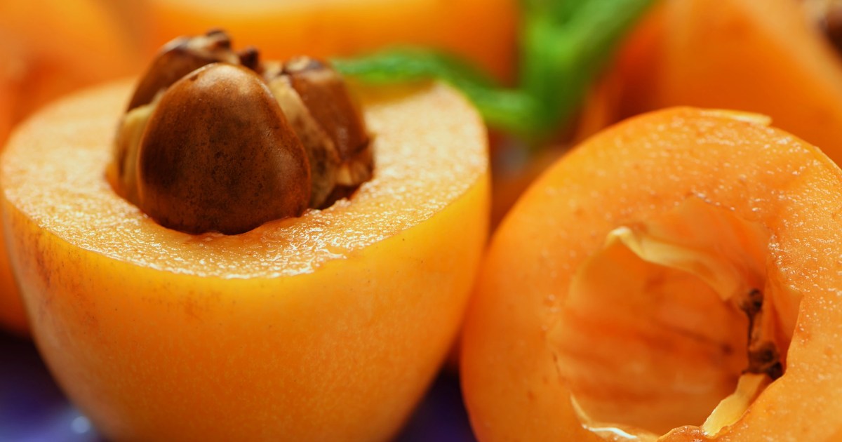 Les chiens peuvent-ils manger du loquat ? Le nèfle est-il sans danger pour les chiens ?
