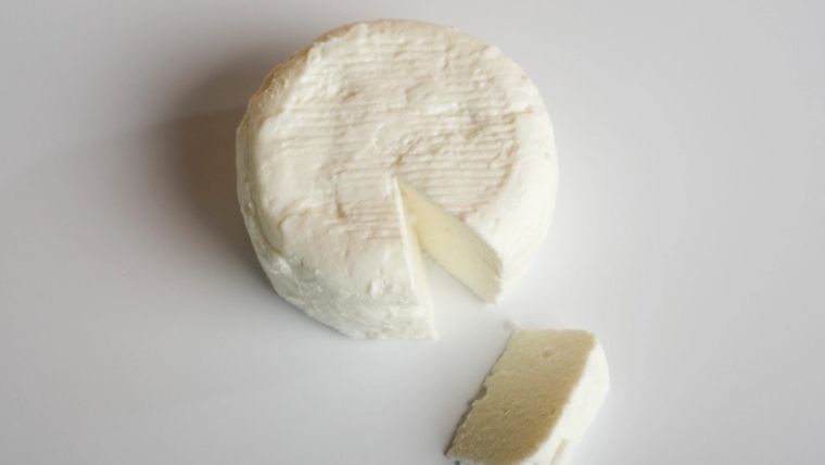 Les chiens peuvent-ils manger du fromage de chèvre ? Le fromage de chèvre est-il sans danger pour les chiens ?
