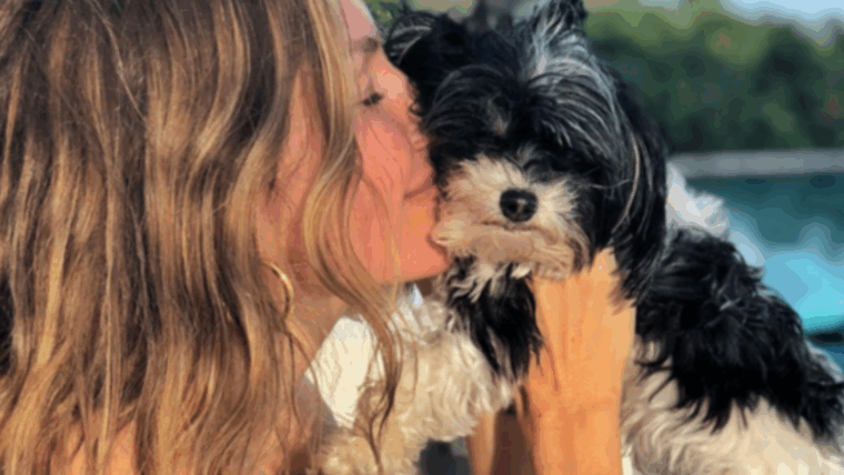 Le chien de Tom Brady, Fluffy : race, âge, et plus encore