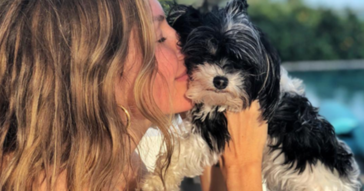 Le chien de Tom Brady, Fluffy : race, âge, et plus encore