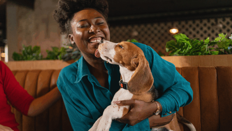 Les meilleures races de chiens pour les femmes célibataires