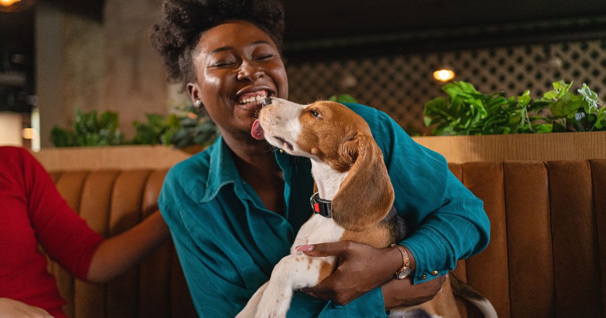 Les meilleures races de chiens pour les femmes célibataires