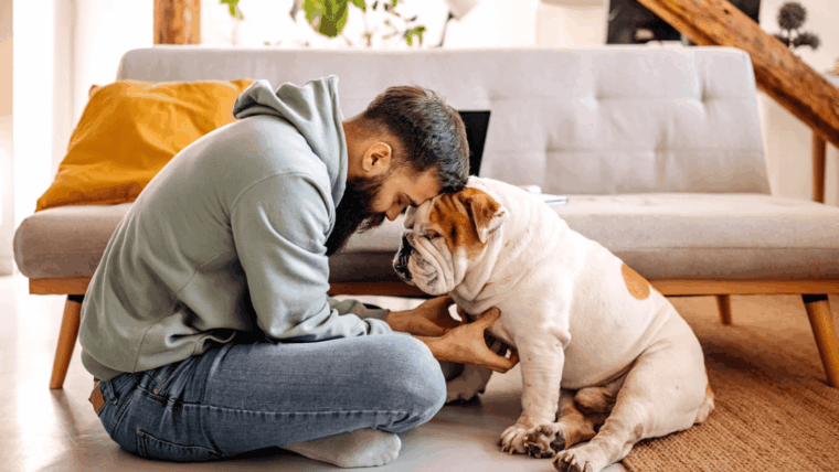 Les meilleures races de chiens pour les hommes célibataires
