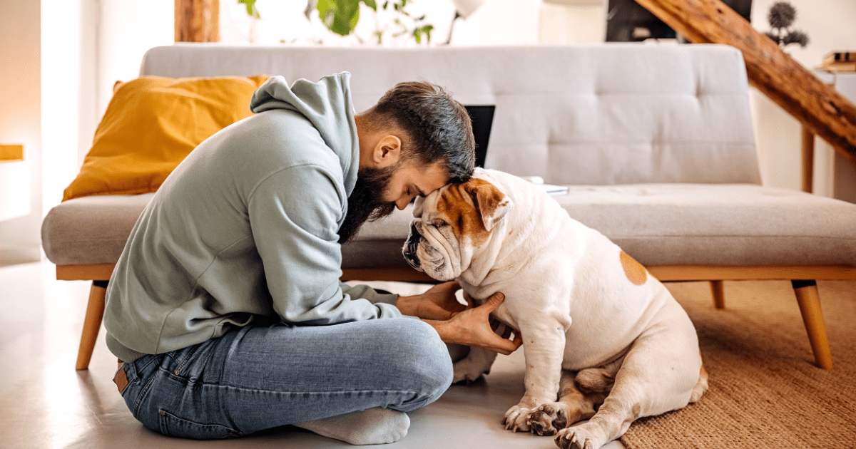 Les meilleures races de chiens pour les hommes célibataires