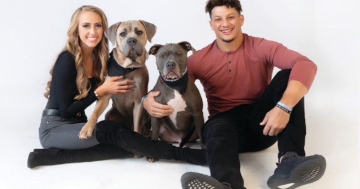 L’acier du chien de Patrick et Brittany Mahomes : Race, âge, et plus encore