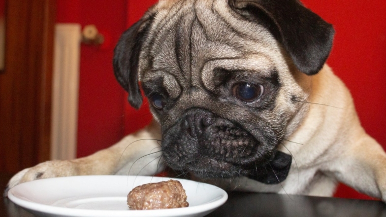 Les chiens peuvent-ils manger des boulettes de viande ? Les boulettes de viande sont-elles sans danger pour les chiens ?
