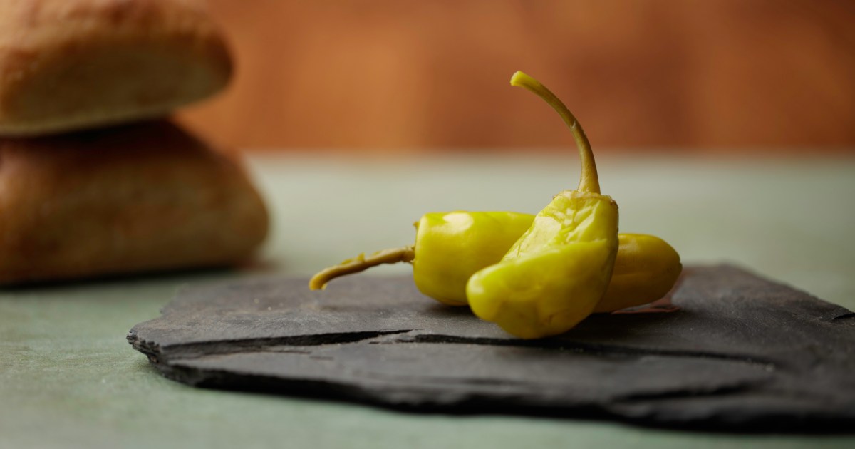 Les chiens peuvent-ils manger des pepperoncini ? Le pepperoncini est-il sans danger pour les chiens ?