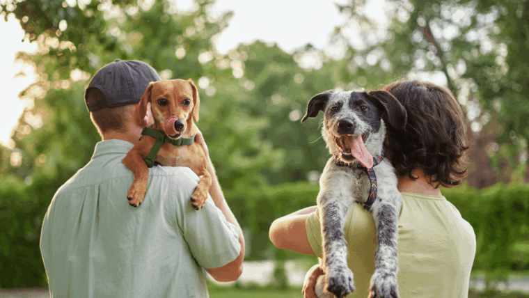 La meilleure race de chien pour chaque signe du zodiaque