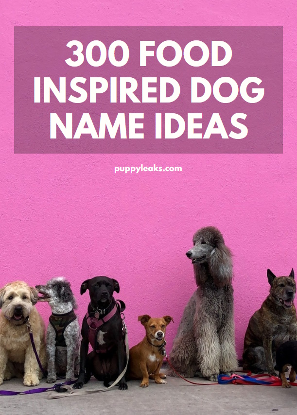 500 idées de noms de chiens inspirés de la nourriture