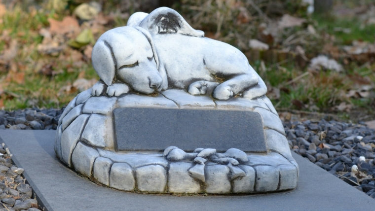 Tout ce que vous devez savoir sur les enterrements d’animaux de compagnie