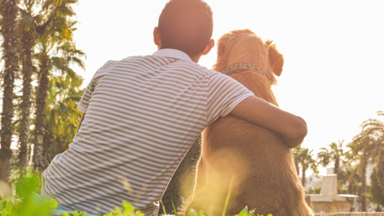 Mon animal est mort. Que dois-je faire? Un guide pour faire face et les prochaines étapes