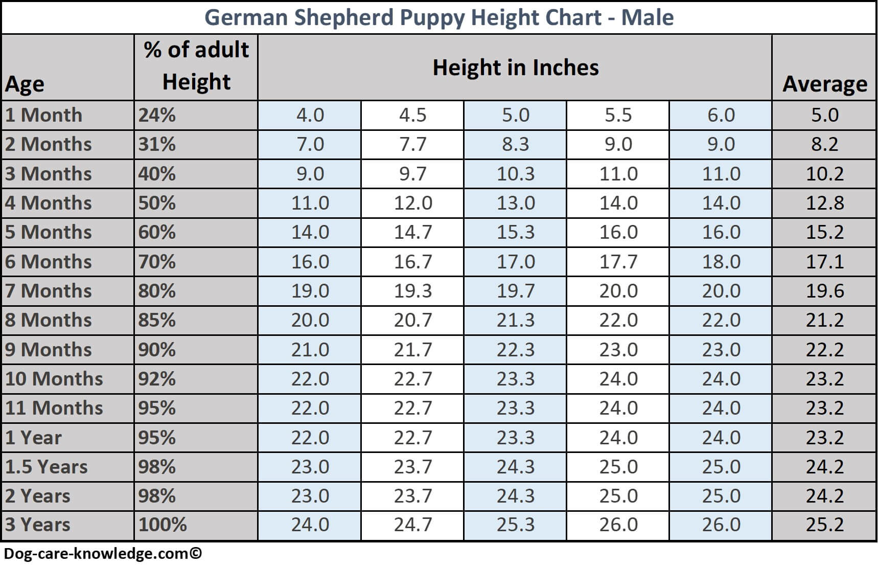 Toise pour chiot berger allemand - Mâle