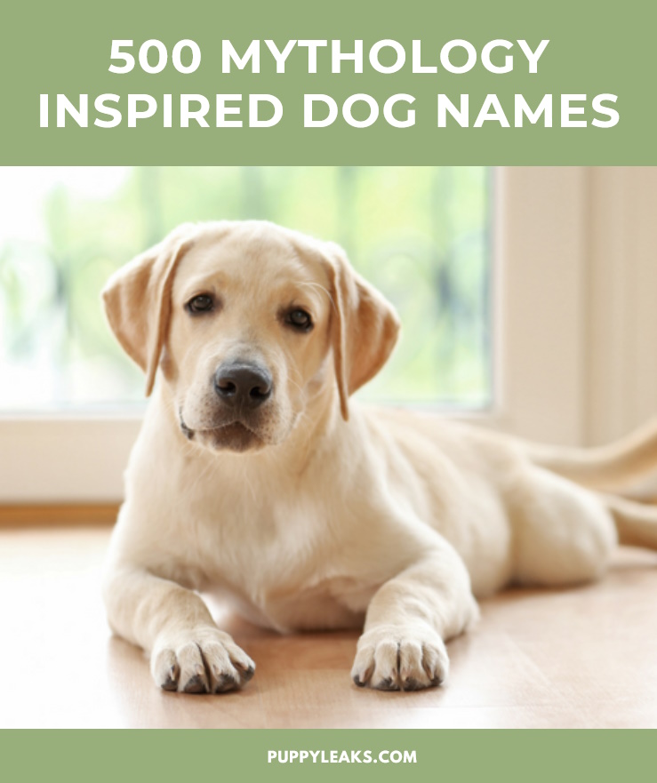 500 noms de chiens inspirés de la mythologie