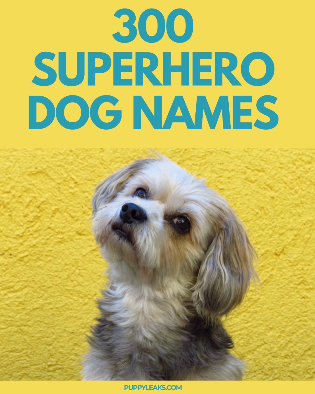 300 noms de chiens de super-héros