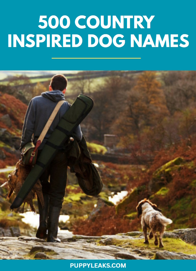 500 noms de chiens inspirés du pays
