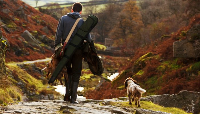 500 noms de chiens inspirés du pays