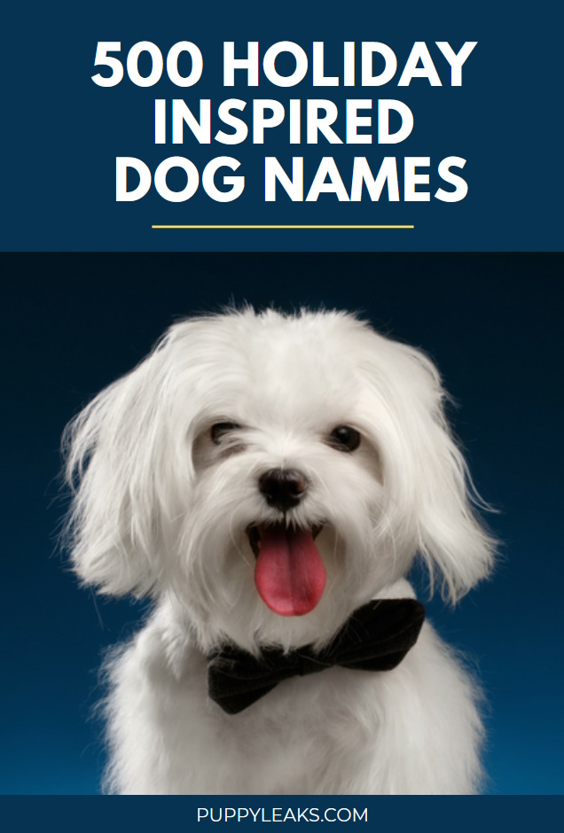 500 noms de chiens inspirés des fêtes