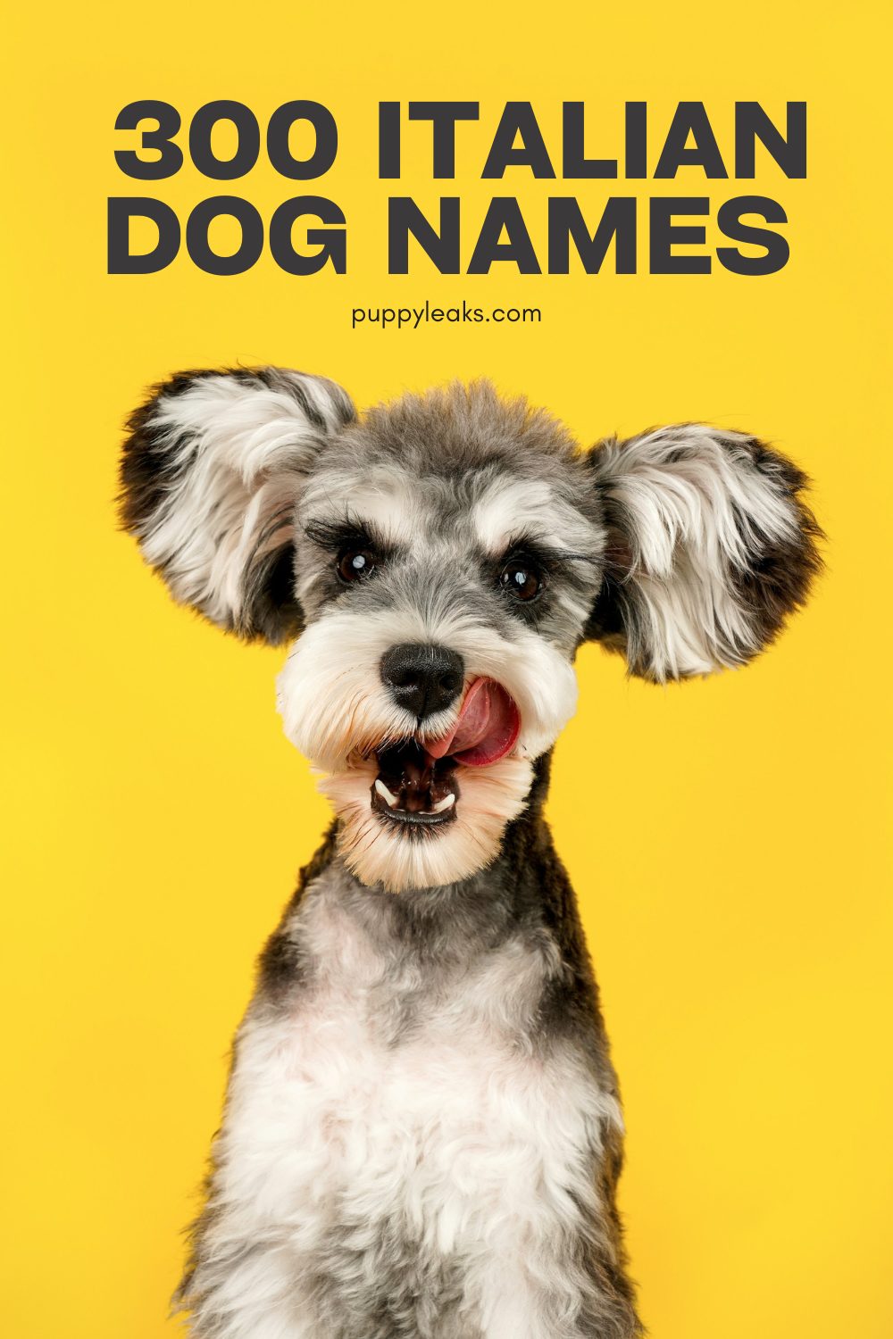 300 noms de chiens italiens