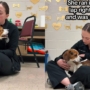 Un chien de sauvetage n’arrêtait pas de pleurer parce qu’il avait besoin de savoir qu’il n’était pas seul