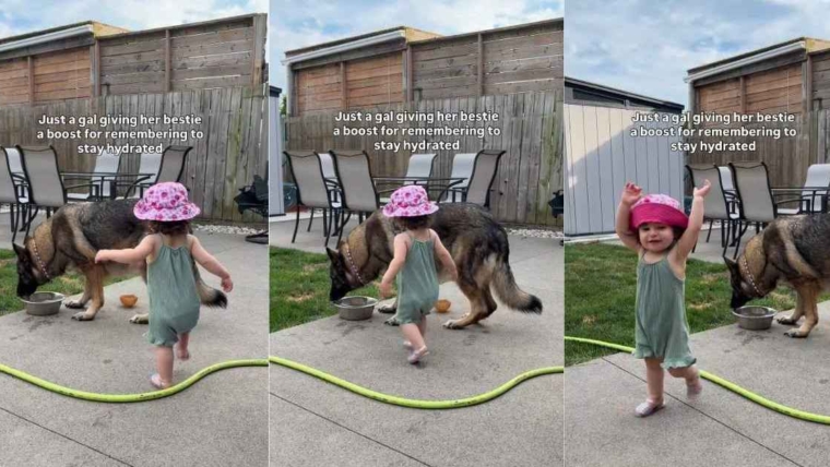 Big Dog reçoit les plus douces caresses dans le dos d’une petite fille qui a l’air si fière d’elle
