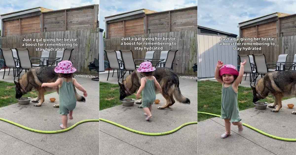 Big Dog reçoit les plus douces caresses dans le dos d’une petite fille qui a l’air si fière d’elle