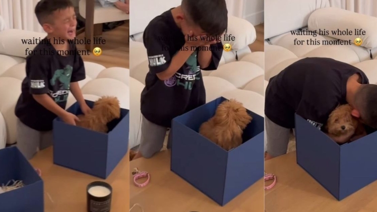 Un petit chiot devient une surprise qu’un petit garçon a attendu toute sa vie et ça ne s’améliore pas